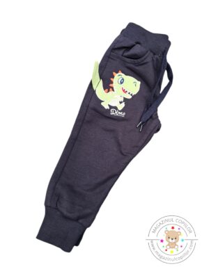 Pantaloni băieți Dinozaur